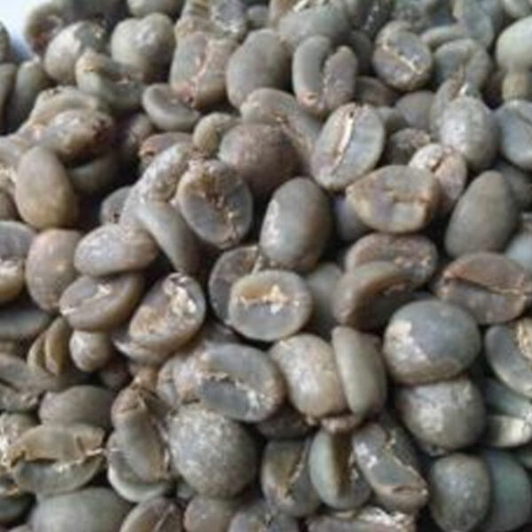 Arabica Gayo Aceh