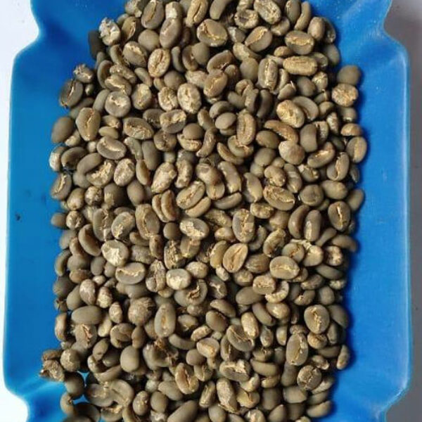 Arabica Gayo Anaerob