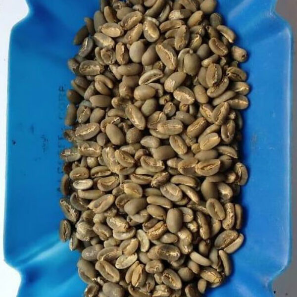 Arabica Gayo LongBerry