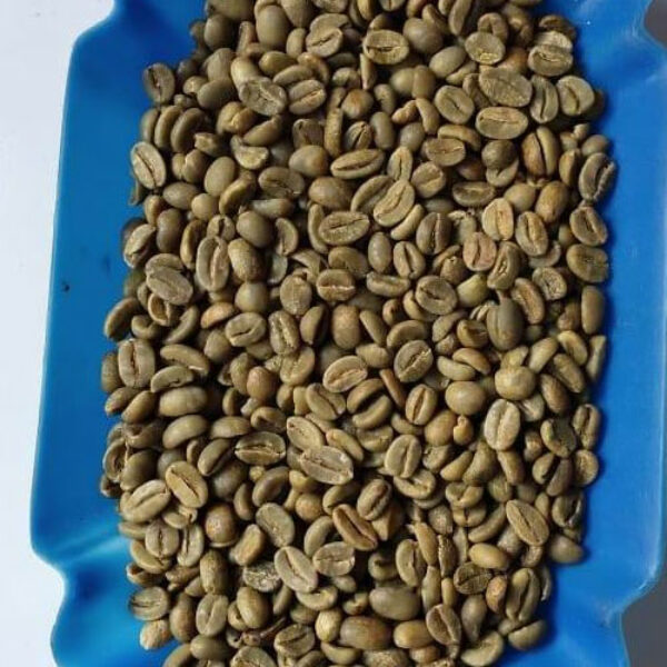 Arabica Gayo Natural