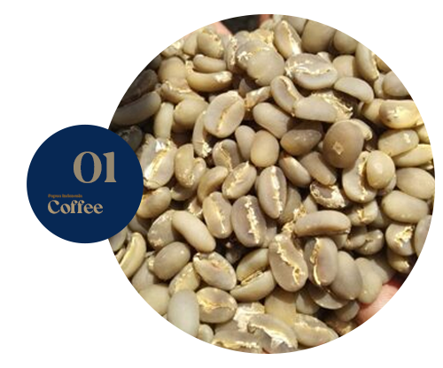Arabica Java Island Bondowoso Regency is one of the largest Arabica coffee producing regions in East Java