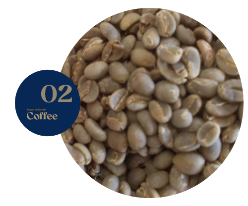 Arabica Mandhailing Sumatra Mandheling Coffee is one of the four common types of Arabica coffee
