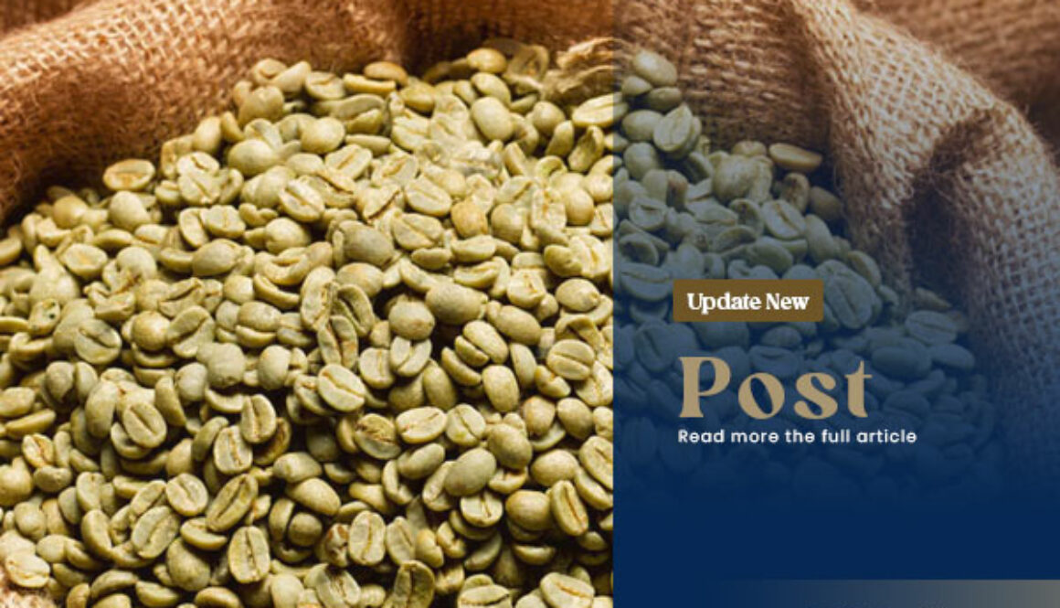 papuaindonesiacoffe-blog-03