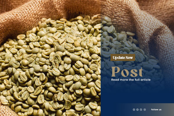 papuaindonesiacoffe-blog-03